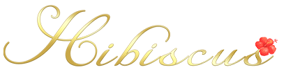 トップページ